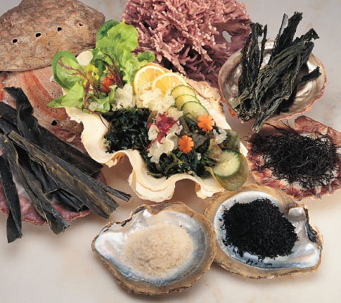 Sea Vegetable Japanese