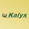 Logo Kalyx